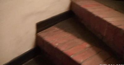 Like a pro prick sucking from wanton latina honey Camila Mendoza