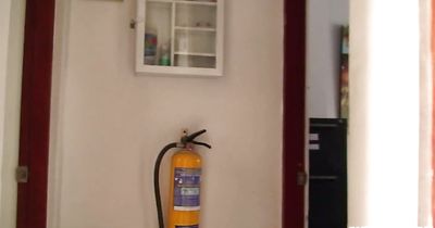 Like a pro prick sucking from wanton latina honey Camila Mendoza