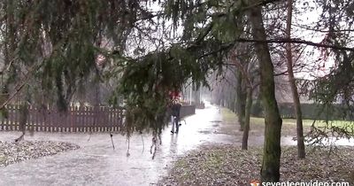 Alluring blonde teen Monika I enjoys tasting the pal's well done-cock